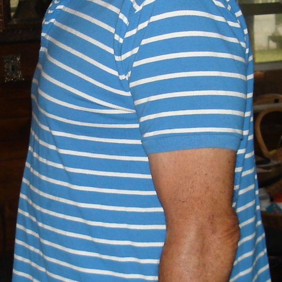 Basic Editions Classic Fit Men's Blue & White Striped Short Sleeve Polo Size LG - Picture 4 of 5